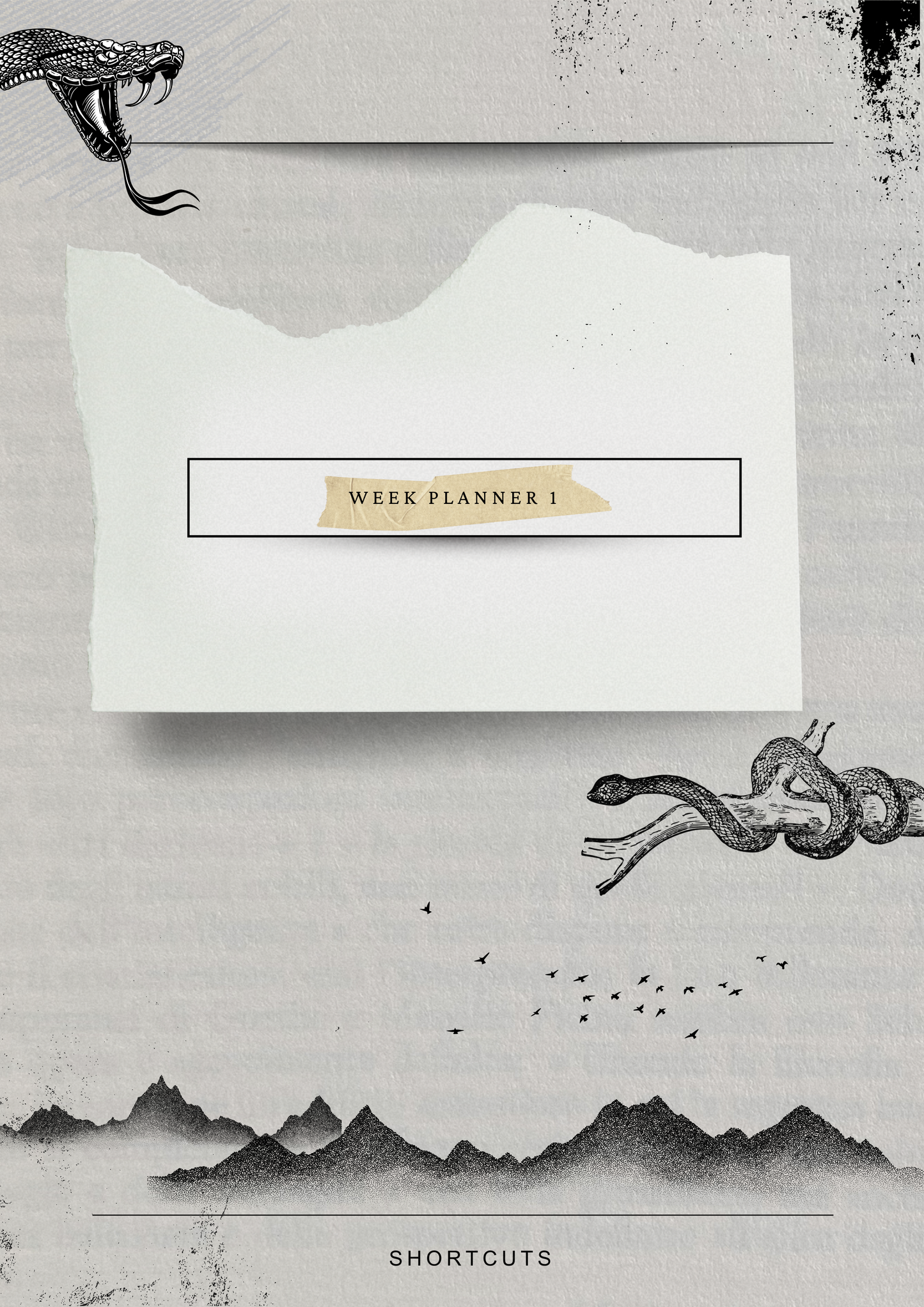 THE ARROW AGENDA : THE FREE VERSION